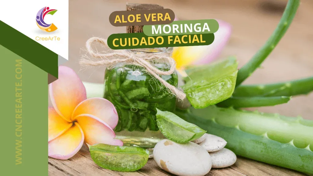 Revelando el poder de Moringa y Áloe Vera para el cuidado de la piel