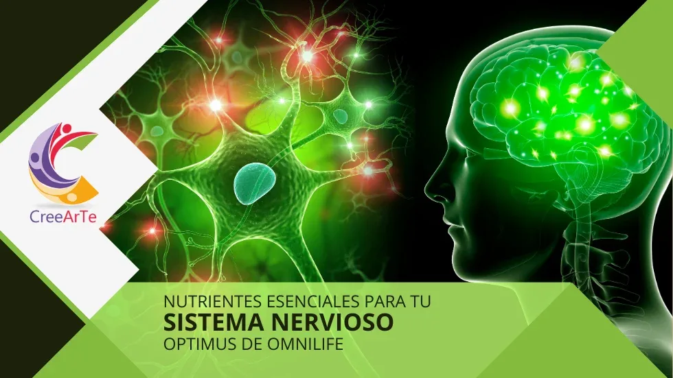 Ilustración de neuronas y el cerebro humano con Optimus de Omnilife.