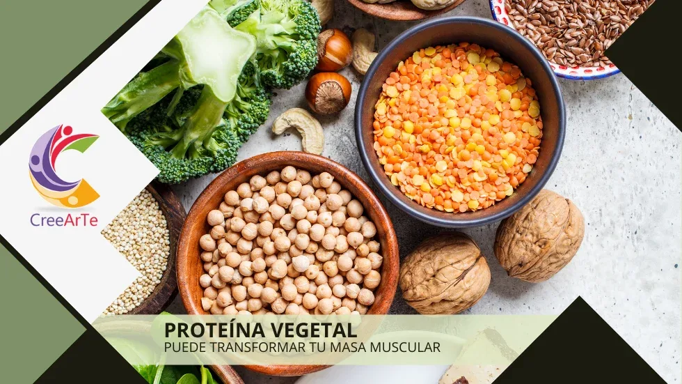 Variedad de alimentos ricos en proteínas vegetales, incluyendo brócoli, garbanzos, lentejas, nueces y semillas. Banner promocional sobre los beneficios de la proteína vegetal por CreeArTe.